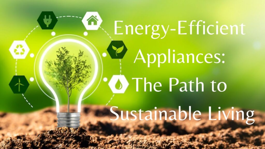 "Energy-Efficient Appliances: The Path to Sustainable Living"